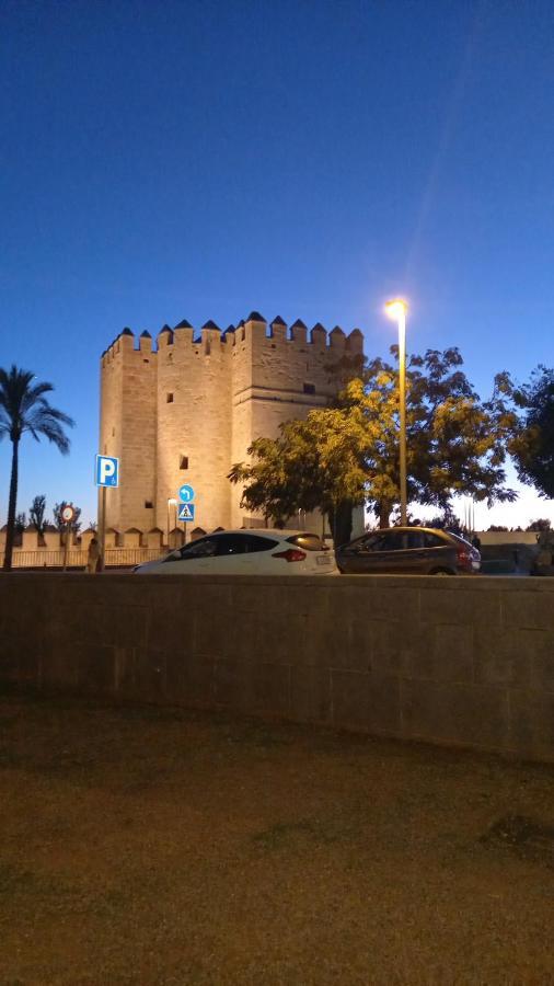 Apartamento Andalucia Cordoba Ngoại thất bức ảnh